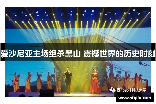 爱沙尼亚主场绝杀黑山 震撼世界的历史时刻