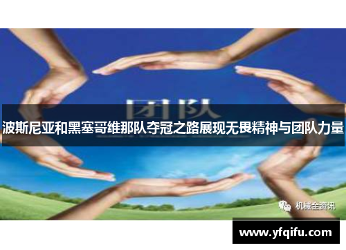 波斯尼亚和黑塞哥维那队夺冠之路展现无畏精神与团队力量
