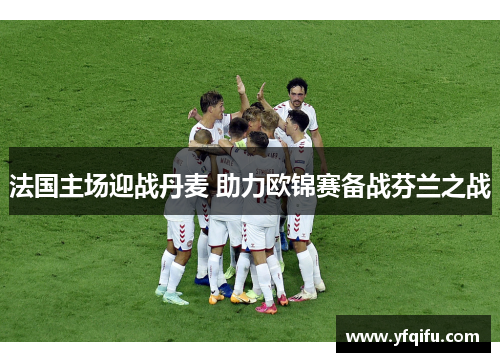 法国主场迎战丹麦 助力欧锦赛备战芬兰之战