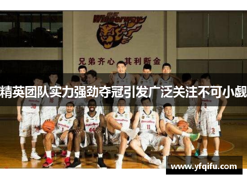 精英团队实力强劲夺冠引发广泛关注不可小觑