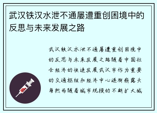 武汉铁汉水泄不通屡遭重创困境中的反思与未来发展之路