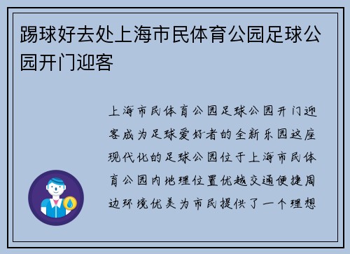 踢球好去处上海市民体育公园足球公园开门迎客