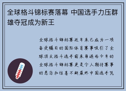 全球格斗锦标赛落幕 中国选手力压群雄夺冠成为新王