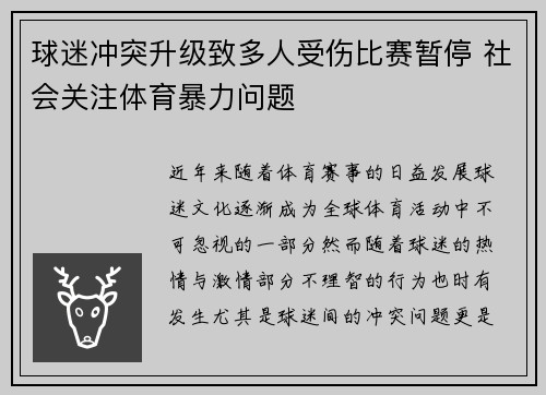 球迷冲突升级致多人受伤比赛暂停 社会关注体育暴力问题